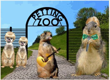 Petting Zoo